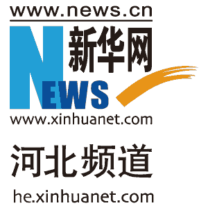 打擊“網絡水軍” 河北取締非法假冒網站107個