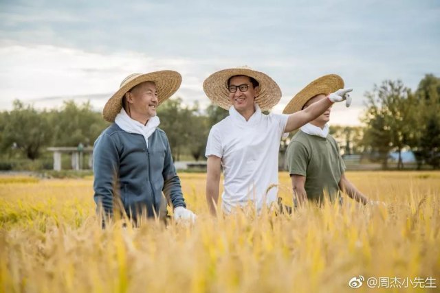 周杰在娛樂圈混不下去了？人家可是低調的億萬富豪！