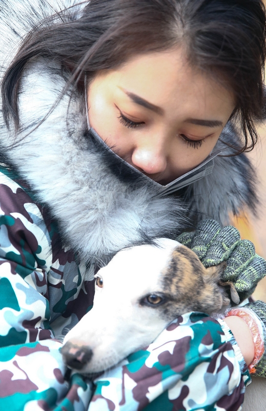 90后女孩為流浪動(dòng)物搭建愛(ài)的