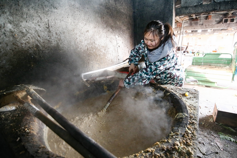 90后女孩為流浪動(dòng)物搭建愛(ài)的
