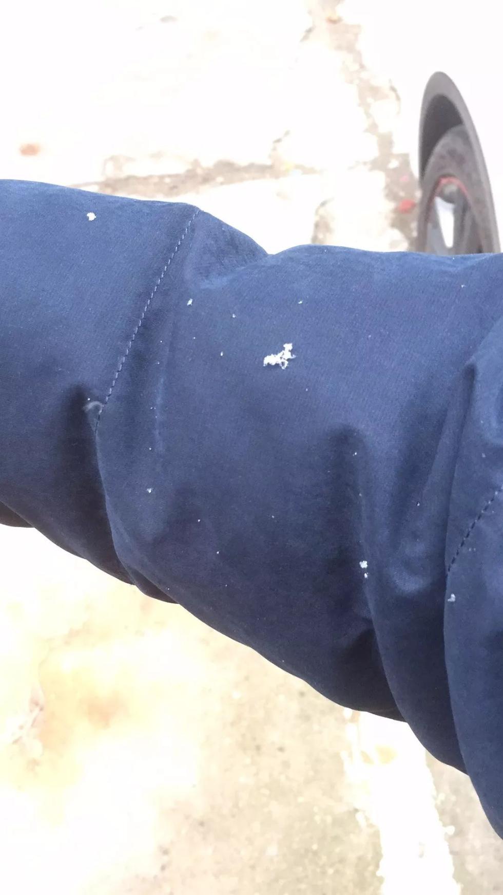 剛剛！南昌下雪啦！明后天還有更大的！江西元旦天氣出爐！