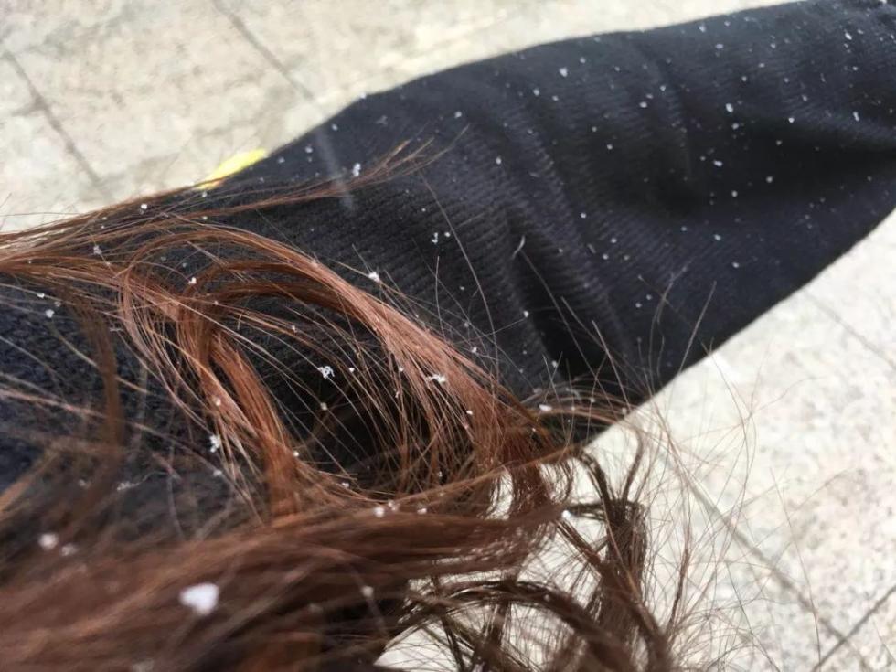 剛剛！南昌下雪啦！明后天還有更大的！江西元旦天氣出爐！