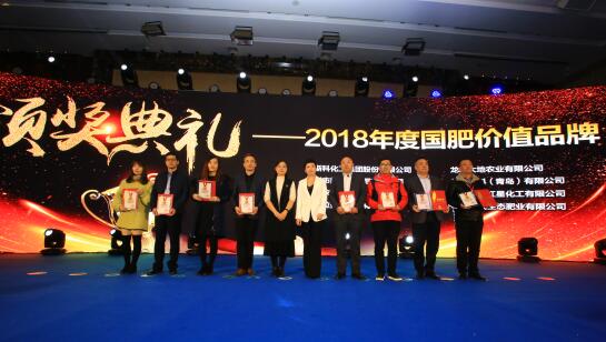 迪斯科榮獲“國肥價值品牌” 董事長陳家輝釋放品牌戰(zhàn)略新信息