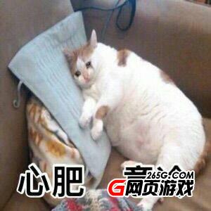 全國凍哭預警地圖出爐 未來三天將冷成狗