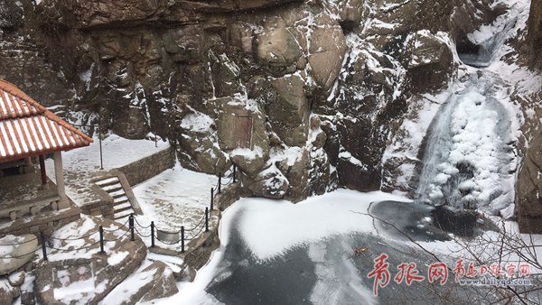 青島今天又下雪啦！最新一波雪景出爐