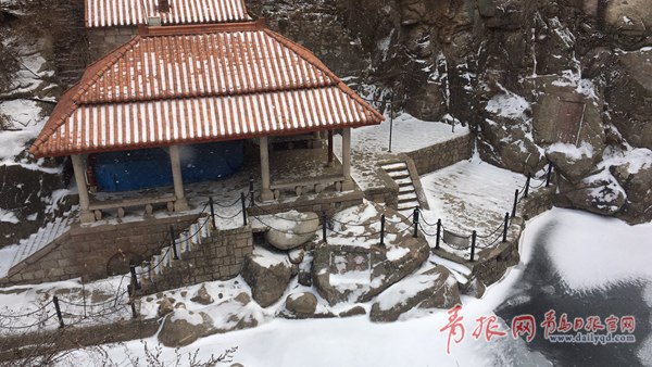 青島今天又下雪啦！最新一波雪景出爐