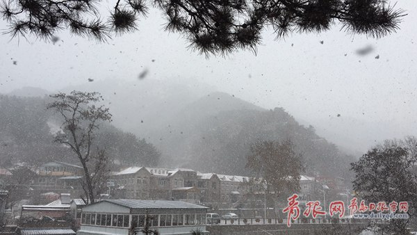 青島今天又下雪啦！最新一波雪景出爐