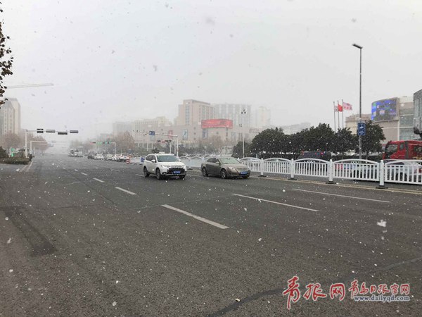 青島今天又下雪啦！最新一波雪景出爐