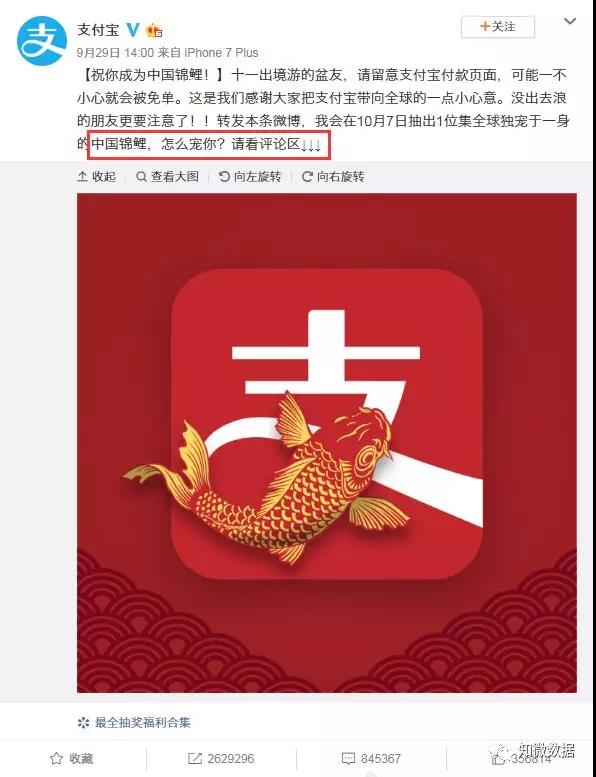 “中國錦鯉”背后的營銷風暴