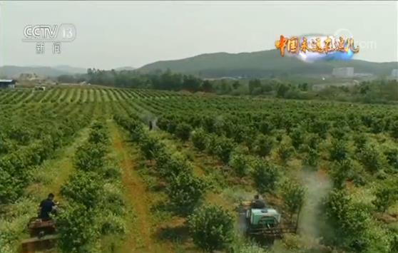 玩轉農業新科技 農民職業大變身 今年三農有點“潮”