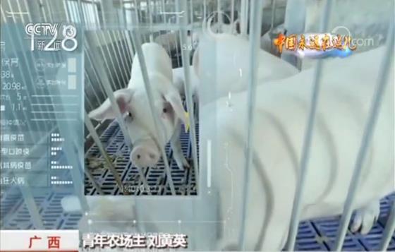 玩轉農業新科技 農民職業大變身 今年三農有點“潮”