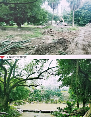 屏山公園熱鬧開園！重裝迎客的ta美極了……