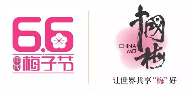 15秒抖音，1.5億次傳播！溜溜梅制造了零食界第一條抖音營銷典范！
