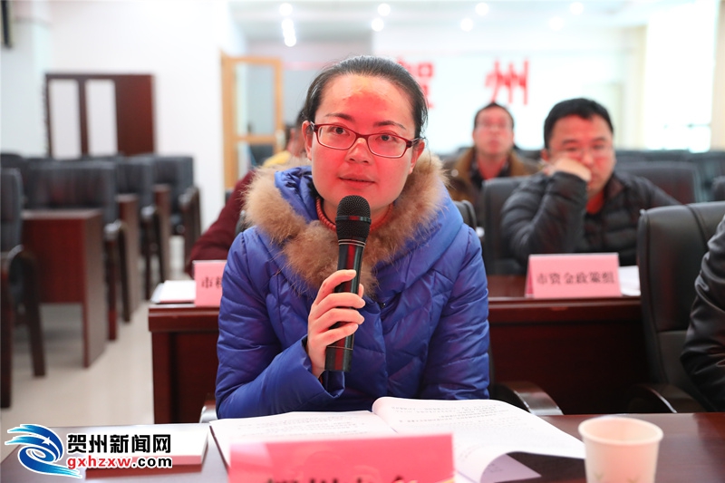 賀州市2018年脫貧攻堅工作新聞發布會召開