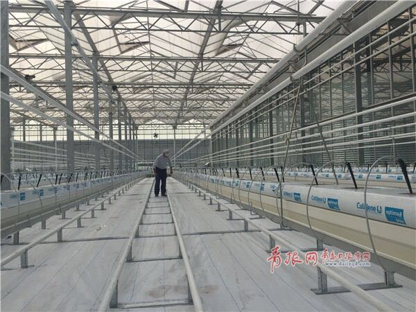 打造國家現代農業示范區 市政府出臺重磅規劃！