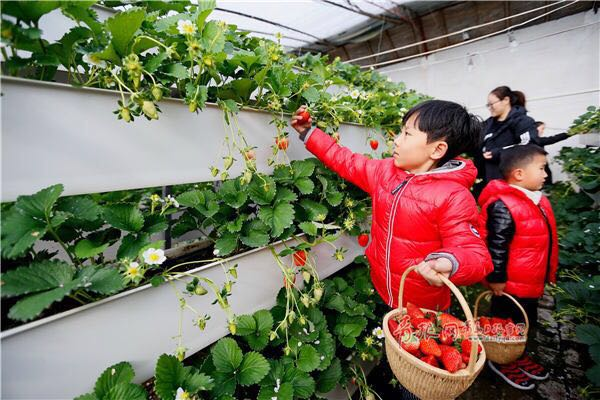 打造國家現代農業示范區 市政府出臺重磅規劃！