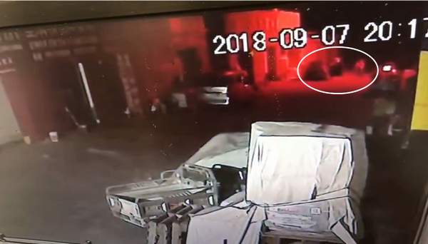 撿狗以盜竊被拘？監(jiān)控視頻公布 男子:不能證明我偷
