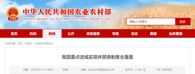這種7800元/斤的天價(jià)美味，以后你可能吃不到了