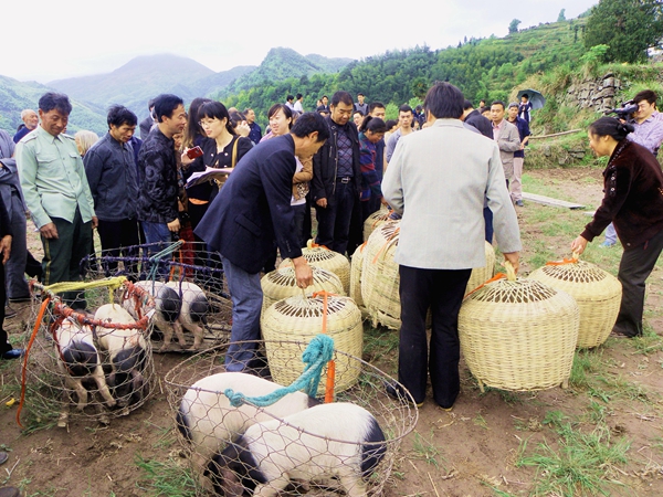 堅(jiān)決打贏十大攻堅(jiān)戰(zhàn)｜民生實(shí)事攻堅(jiān)篇 精準(zhǔn)發(fā)力解民憂 全力攻堅(jiān)惠民生