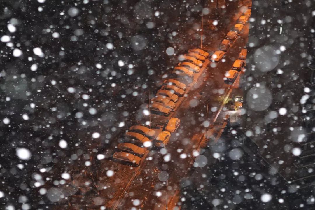 應(yīng)急發(fā)布：雪怎么下？路管不管制？返程怎么走？