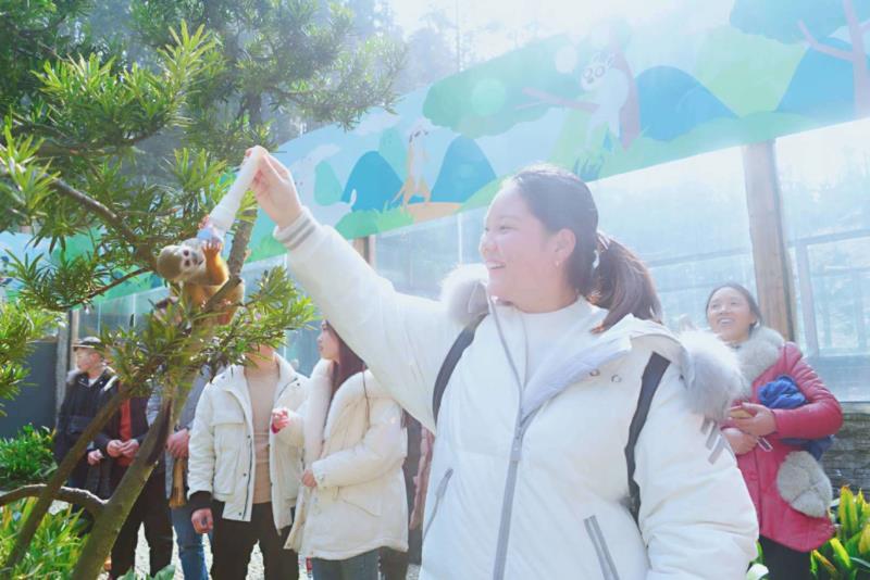 雨城區(qū)2019年春節(jié)假日旅游興盛迎來豬年