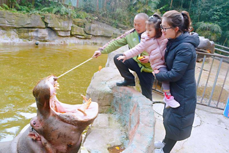 雨城區(qū)2019年春節(jié)假日旅游興盛迎來豬年