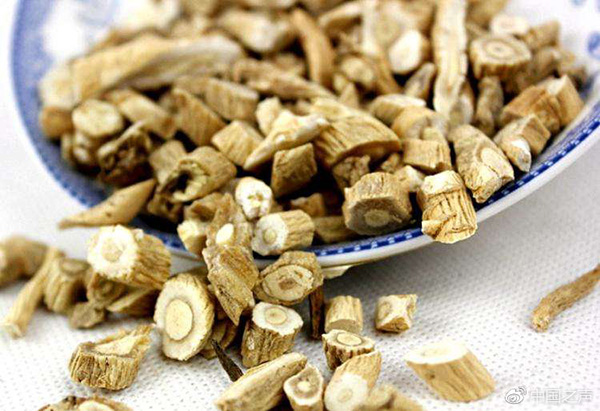 板藍根ISO國際標準發布，科研團隊揭秘中醫藥如何走出國門