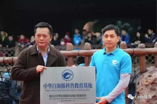 大批中華白海豚“亮相”港珠澳大橋、淇澳島海面