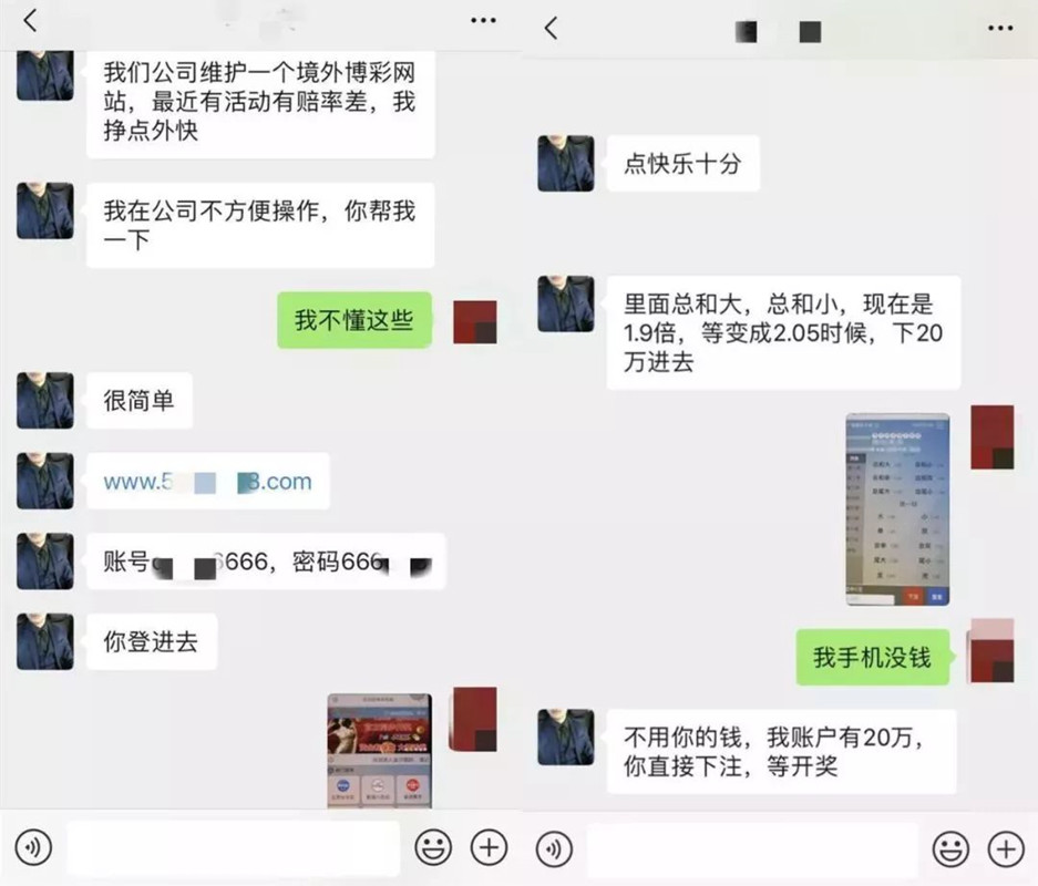 殺豬盤、黑公關、刷流量 揭秘網絡黑產暴利背后